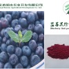 供应天然水果粉：蓝莓粉 第三方检测 企标备案