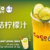 coco都可奶茶连锁店加盟项目