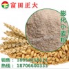 供应膨化小麦粉 富含膳食纤维天然面粉 饲料添加剂，饲料原料