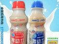 340ml传畅胃动力乳酸菌饮料厂家招商招代理