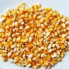 大量求购玉米、大米、高粱、大豆、小麦等酿酒原料