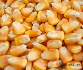 长期求购优质玉米大豆汉江畜禽 优质