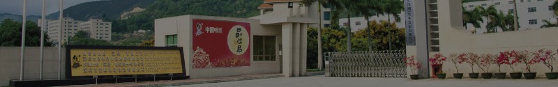 pinjiapin-banner