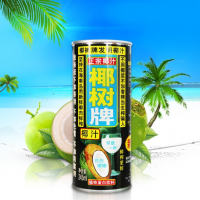 椰树椰汁正宗椰树牌椰子汁植物蛋白饮料245ml*24罐