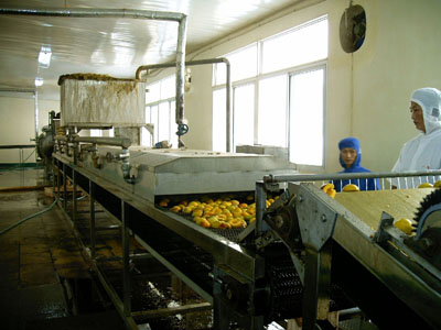 曼顿果蔬加工设备生产线