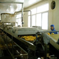 曼顿果酱加工设备生产线