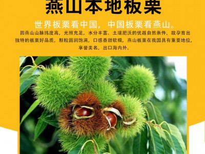 开口笑冷冻冰栗