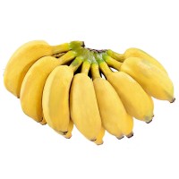 广西小米香蕉 5/9斤新鲜水果海南软糯小香蕉给红美人苹果粉蕉