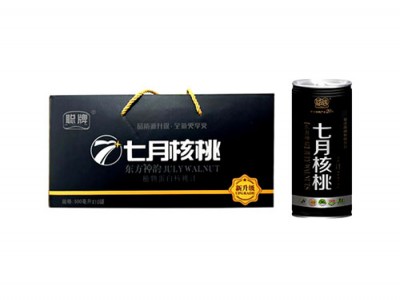 七月核桃东方神韵 好喝健康 植物乳饮 礼盒装