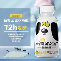 团友小奶狗风味乳酸菌网红低脂肪饮品