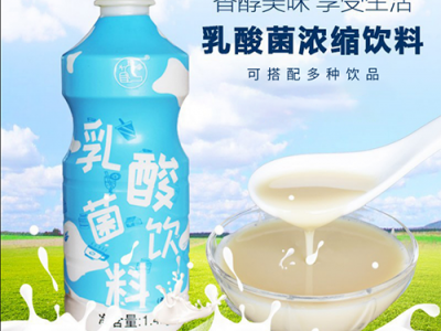 大拇指乳酸菌酸原味浓缩益生菌奶茶店专用