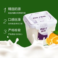 蒙伊醇酸奶 900g*2桶低温冷藏双皮奶儿童营养活菌原味
