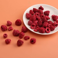 FD冻干树莓碎蛋糕装饰烘焙原料红树莓