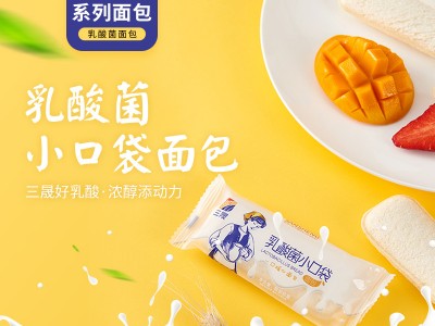 三晟乳酸菌小面包整箱早餐休闲小吃夹心全麦面包