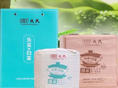 勐库戎氏2024年極少树云南白茶茶柱礼盒装500g