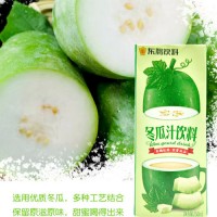 东鹏 草本植物饮料250m24盒 即饮广东冬瓜茶