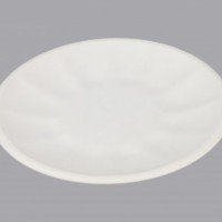 环保可降解湿压甘蔗渣模压纤维食品纸盘